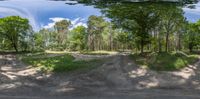 three photos showing two dirt roads going through a forest with tall trees around them and a sky with some clouds