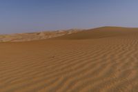 a lone tree in the middle of the desert against the background of large sand dunes with dirt