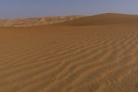 a lone tree in the middle of the desert against the background of large sand dunes with dirt