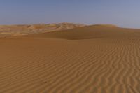 a lone tree in the middle of the desert against the background of large sand dunes with dirt