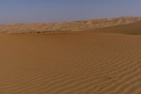 a lone tree in the middle of the desert against the background of large sand dunes with dirt