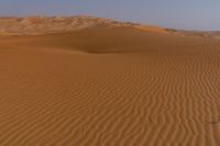 a lone tree in the middle of the desert against the background of large sand dunes with dirt