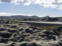 the asphalt in the center of the landscape is covered with licheny rocks, as the road goes below