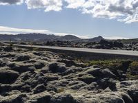 the asphalt in the center of the landscape is covered with licheny rocks, as the road goes below