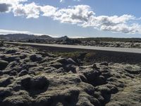 the asphalt in the center of the landscape is covered with licheny rocks, as the road goes below