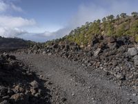 a rocky terrain has been cleaned with cement, and rocks along with trees lining it