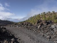 a rocky terrain has been cleaned with cement, and rocks along with trees lining it