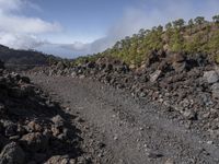 a rocky terrain has been cleaned with cement, and rocks along with trees lining it