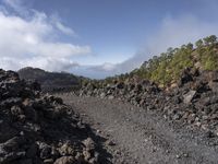 a rocky terrain has been cleaned with cement, and rocks along with trees lining it