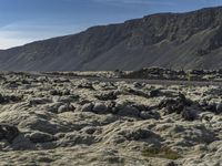 an image of a mountain landscape with rocks and gravels on the ground on a sunny day