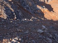 the shadow of a man on a rock face a bear and sheep in a desert