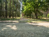 gravel road in an outdoor wooded area with trees surrounding it and dirt road near the entrance