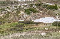 an image of a very grassy hill area with several animals in it on the other side