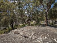 large rock with trees in the background surrounded by vegetation on both sides of the hill