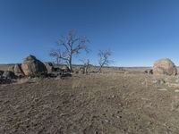 a large boulders in a dry field with trees and other things in the distance,