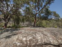 the big rock has a lot of rocks on it and trees in the background,