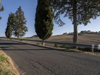 Rugged Landscape of Tuscany with Cypress Trees