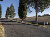 Rugged Landscape in Tuscany with Cypress Trees 002