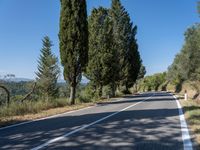 Rugged Landscape: Tuscany Rural Road