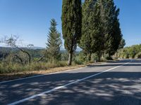 Rugged Landscape: Tuscany Rural Road