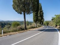 Rugged Landscape: Tuscany Rural Road