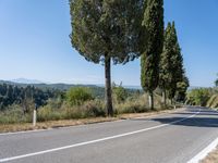 Rugged Landscape: Tuscany Rural Road