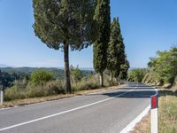 Rugged Landscape: Tuscany Rural Road