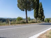 Rugged Landscape: Tuscany Rural Road