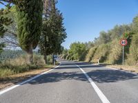 Rugged Landscape: Tuscany Rural Road