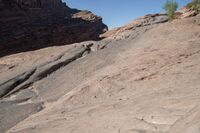 two birds that are sitting on some rocks by itself in the desert on a sunny day