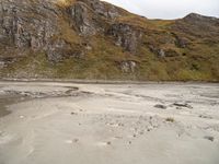 a horse standing in the dirt at the bottom of a mountain near water and rocks