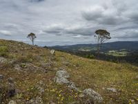 Rugged Mountain Landscape in Pambula, New South Wales, Australia