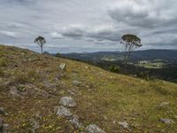 Rugged Mountain Landscape in Pambula, New South Wales, Australia