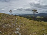 Rugged Mountain Landscape in Pambula, New South Wales, Australia