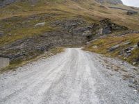 a dirt road running into the mountains with sheep grazing near it at the end of a dirt road