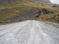 a dirt road running into the mountains with sheep grazing near it at the end of a dirt road