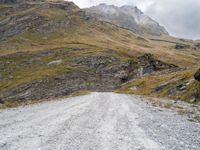 a dirt road running into the mountains with sheep grazing near it at the end of a dirt road