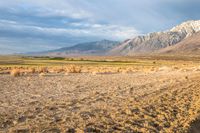 an open desert plain with a big mountain in the background and some dirt on the ground