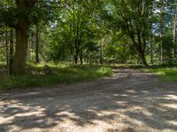 a dirt road is surrounded by trees and grass along with a shadow on the ground