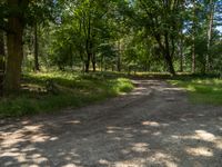 a dirt road is surrounded by trees and grass along with a shadow on the ground