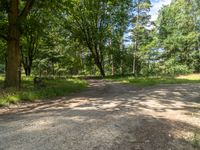 a dirt road is surrounded by trees and grass along with a shadow on the ground