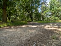 a dirt road is surrounded by trees and grass along with a shadow on the ground