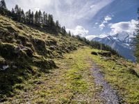 trail running up a grassy hillside toward a mountain top with a snowy peak in the distance