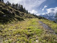 trail running up a grassy hillside toward a mountain top with a snowy peak in the distance