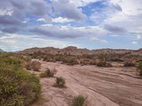 a dry, rocky terrain is seen in this image and the dirt is rough and sandy