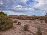 a dry, rocky terrain is seen in this image and the dirt is rough and sandy