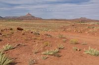 Rugged Off-Road Track in Utah Canyonlands