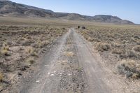 Rugged Pathway Through Colorado Dirt Hill