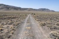 Rugged Pathway Through Colorado Dirt Hill