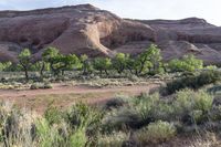 an arid area with a group of trees and grass on both sides of the valley